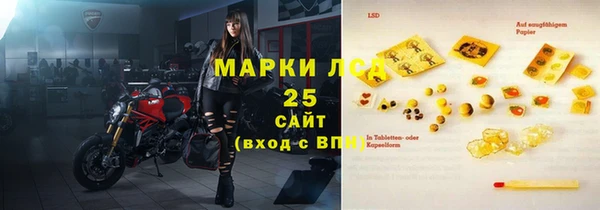 ECSTASY Ветлуга