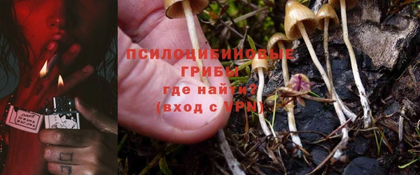 марки lsd Осинники