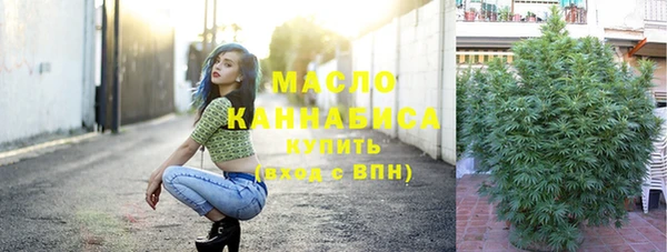 сатива Инта