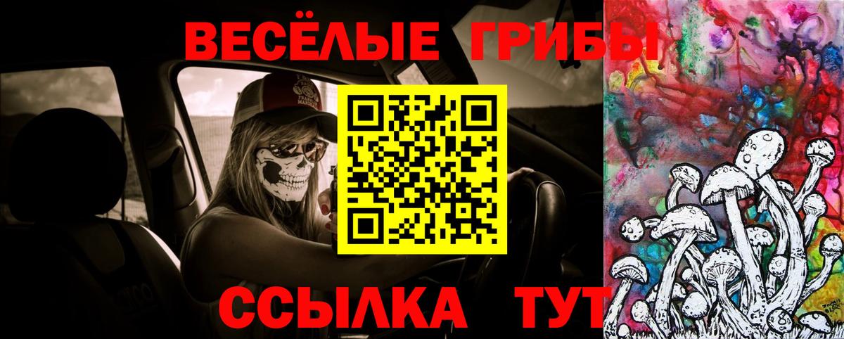 Псилоцибиновые грибы Psilocybe Красноперекопск