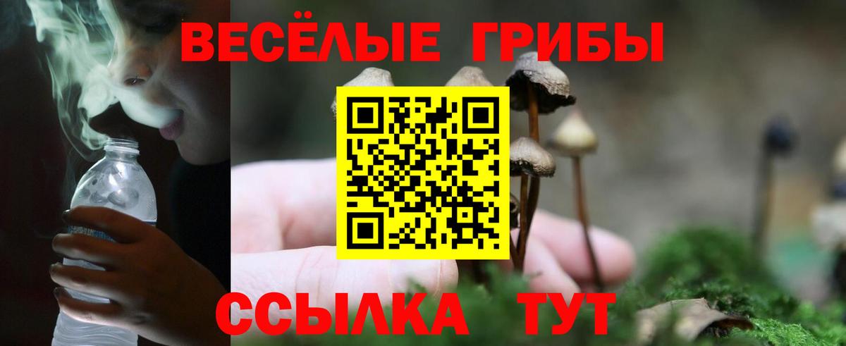 купить наркотики цена  Галлюциногенные грибы Psilocybine cubensis  Вход с VPN  Красноперекопск 